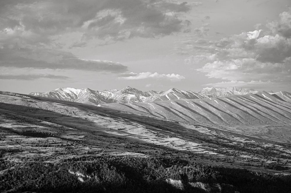 Фотография автора Алексей