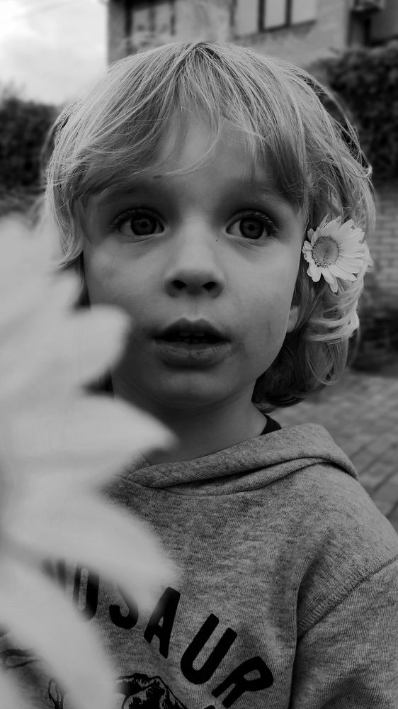 Photograph by Мила