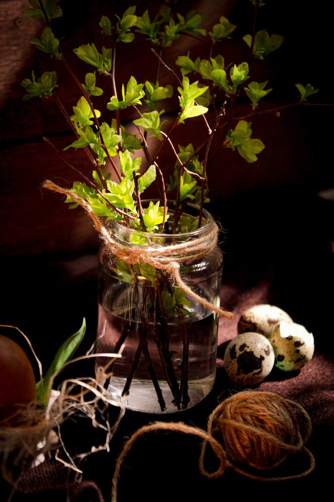 Photograph by Ольга Жаркова