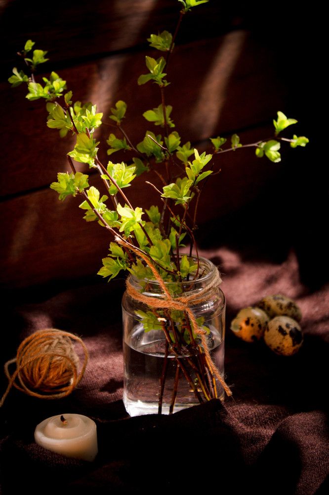 Photograph by Ольга Жаркова