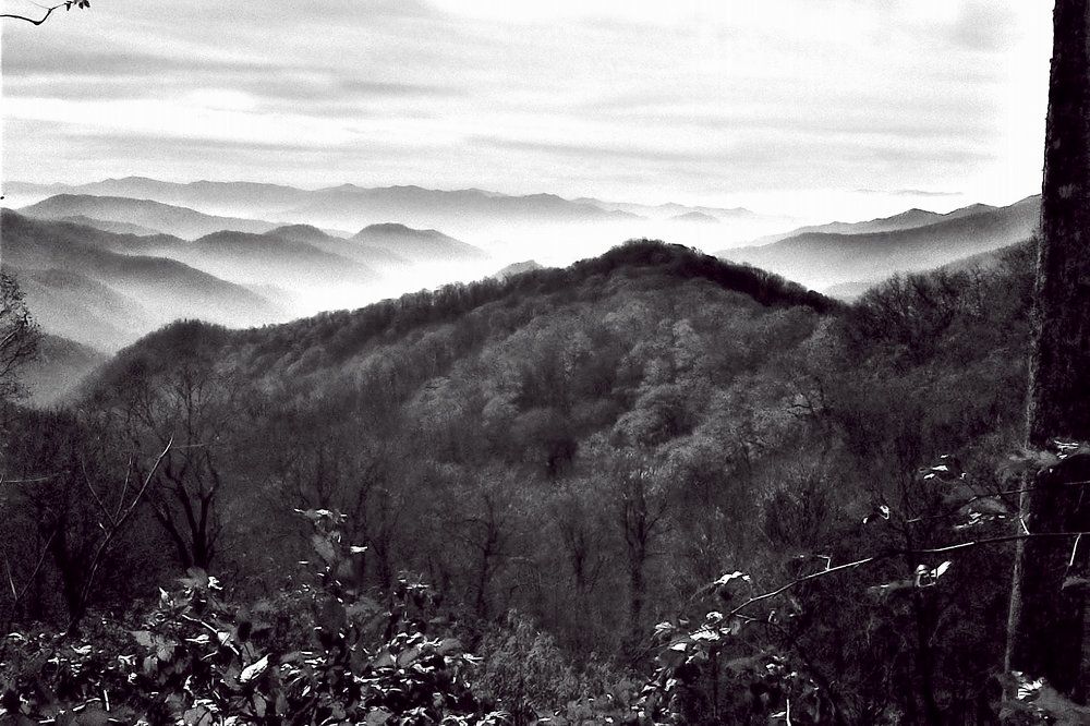 Photograph by Art Bisschop