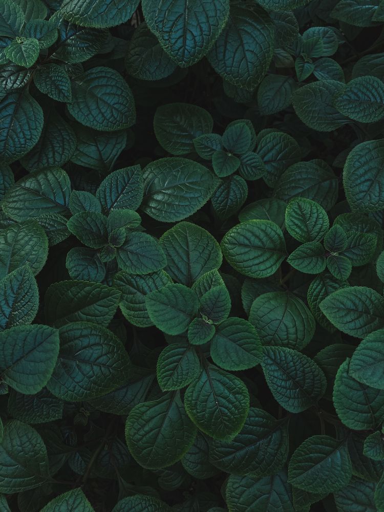 Photograph by Алиса