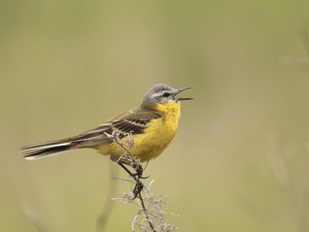 Photograph by Артемий