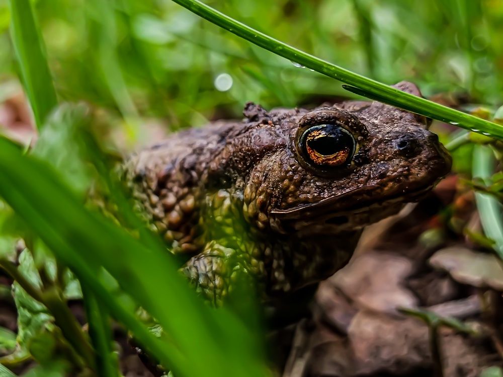 Photograph by Александра Рябая