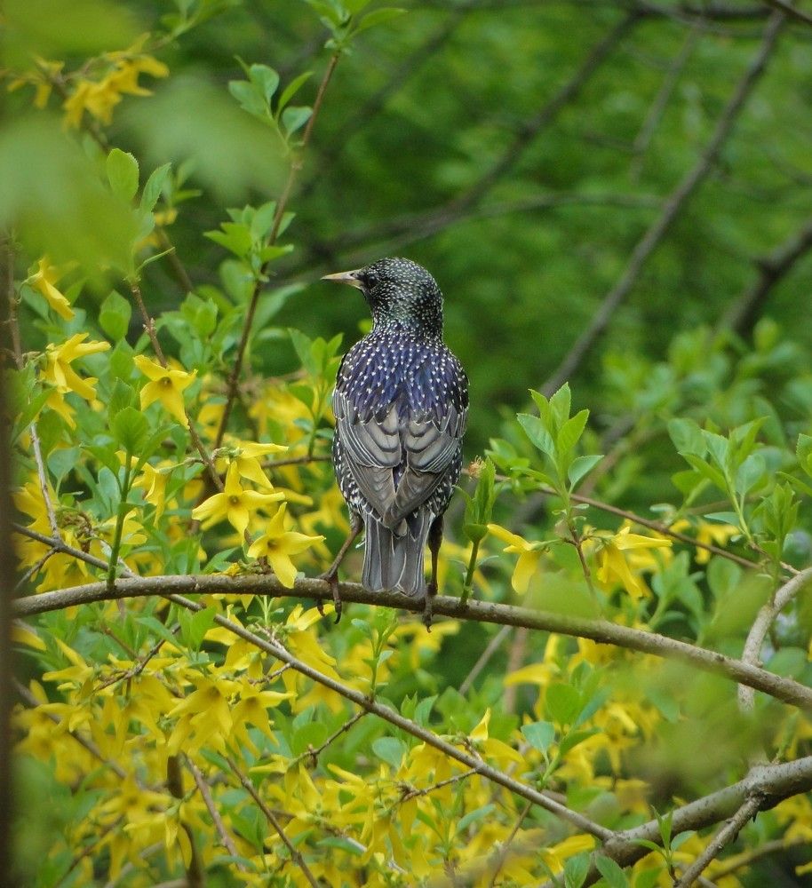 Photograph by Оксана Архипова