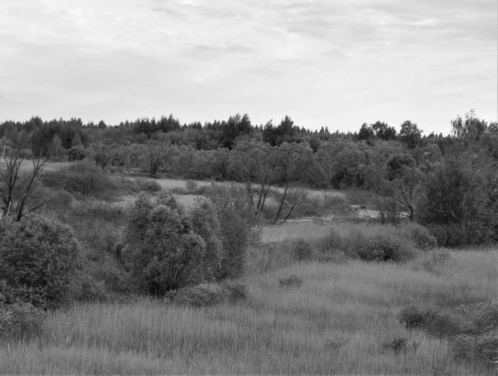 Photograph by Ирина Самойленко