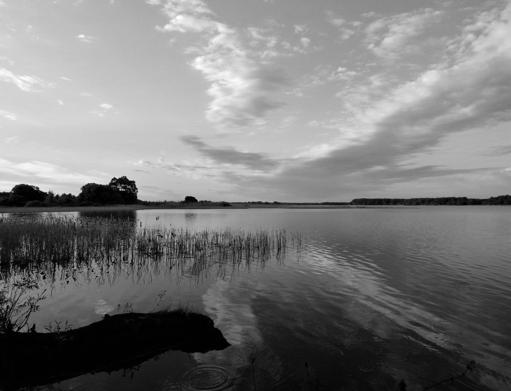 Photograph by Ирина Самойленко