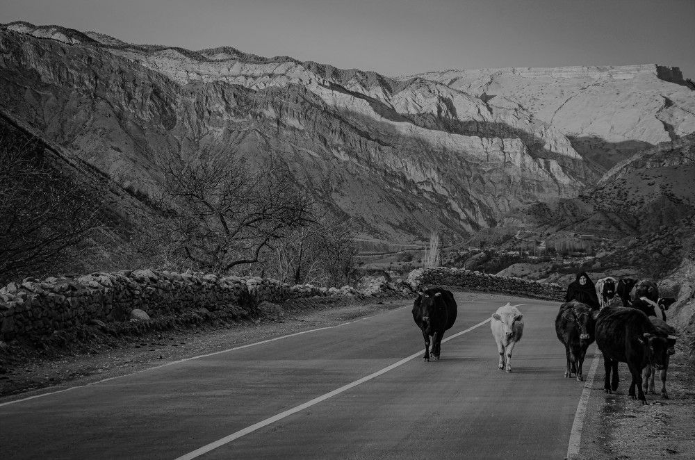 Photograph by Инна Гаджиева