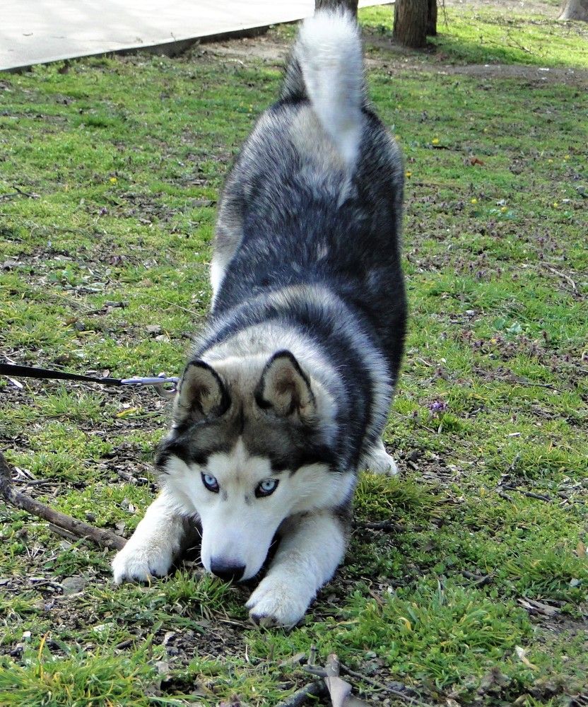 Photograph by Оксана Архипова