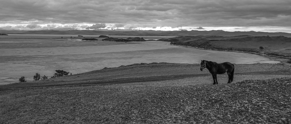 Фотография автора Александр Довганюк