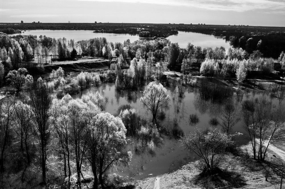 Photograph by Ольга Жаркова