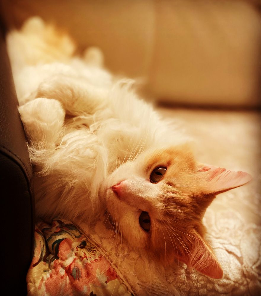 Photograph by Юлия Гусева