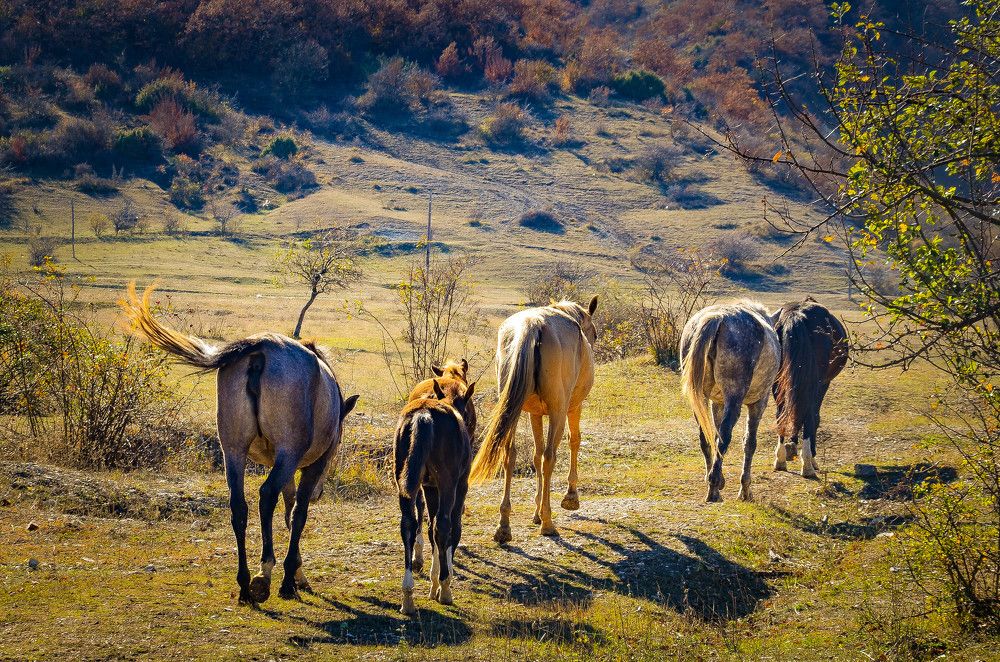 Photograph by Инна Гаджиева