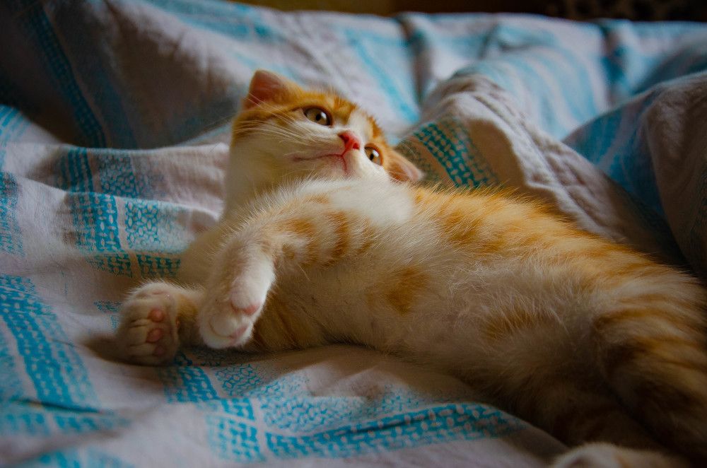 Photograph by Инна Гаджиева