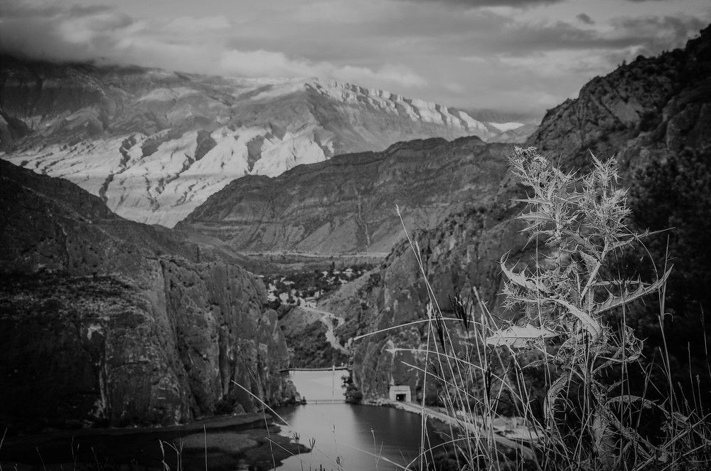 Photograph by Инна Гаджиева