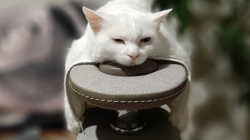 Photograph by Кузьмин Евгений