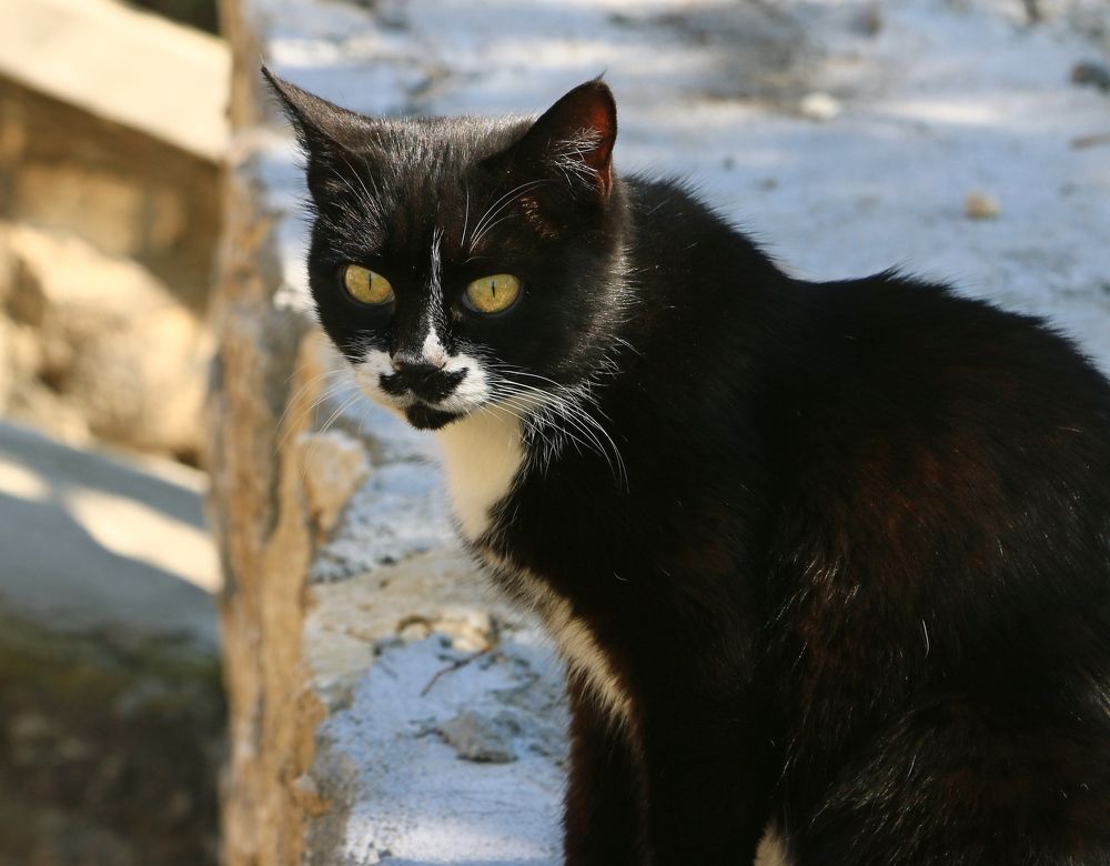 Photograph by Игорь Куленко