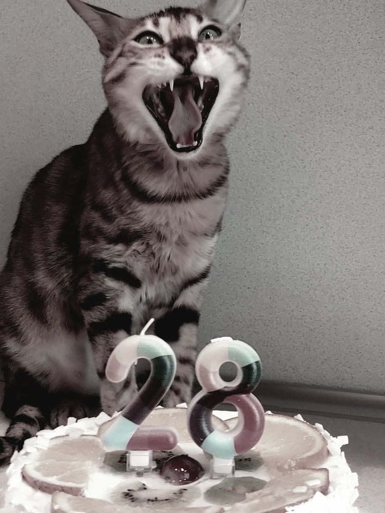 Photograph by Irina Lobko