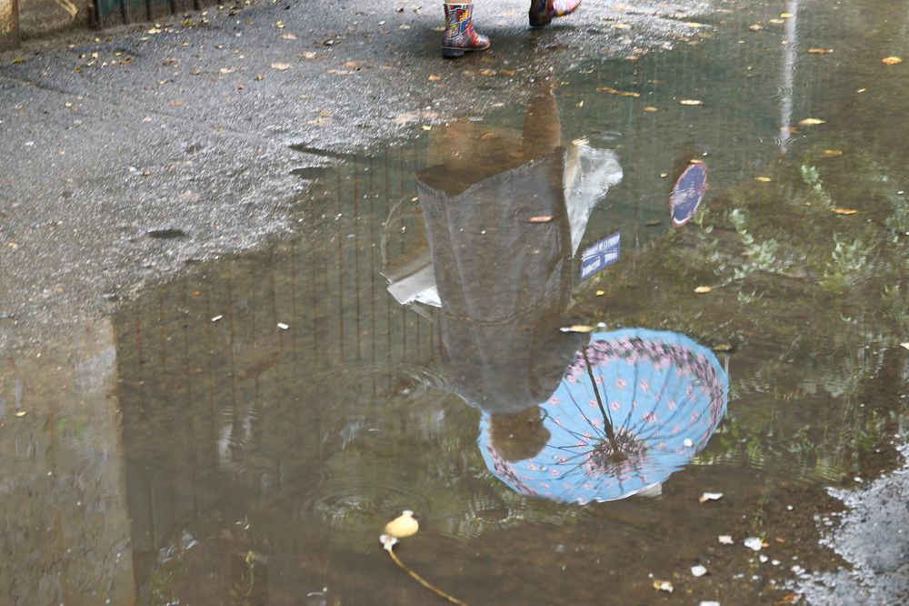 Photograph by Tatyana