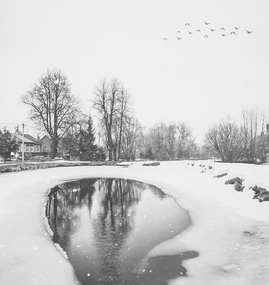 Photograph by Ольга Бородина