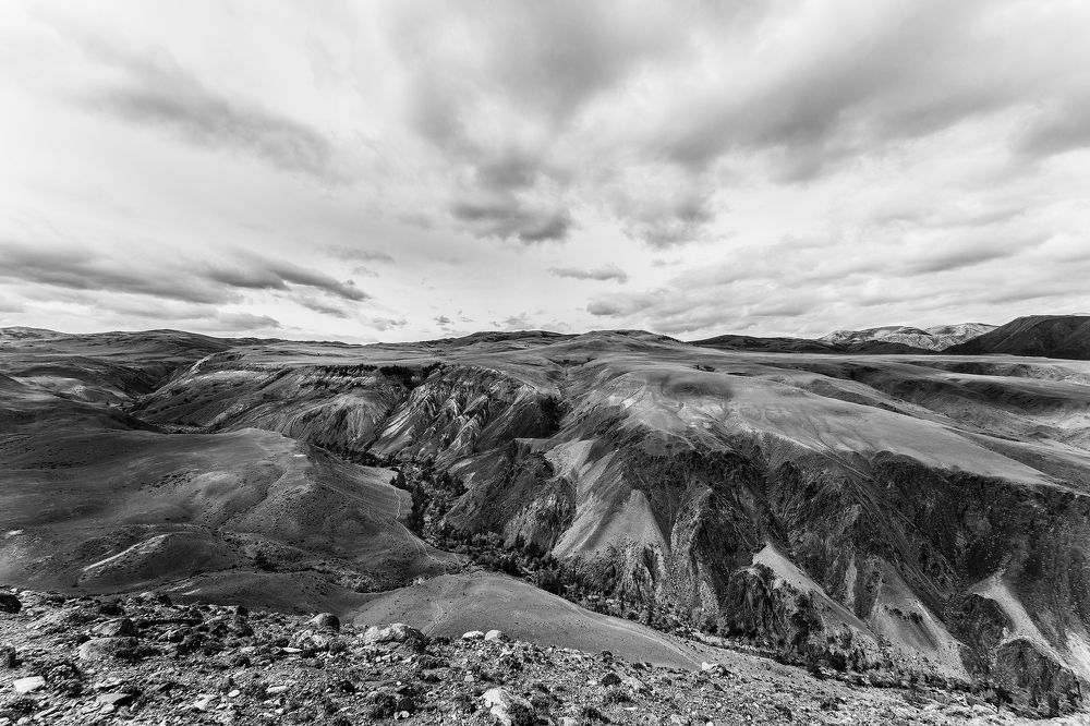 Photograph by Константин Щербаков