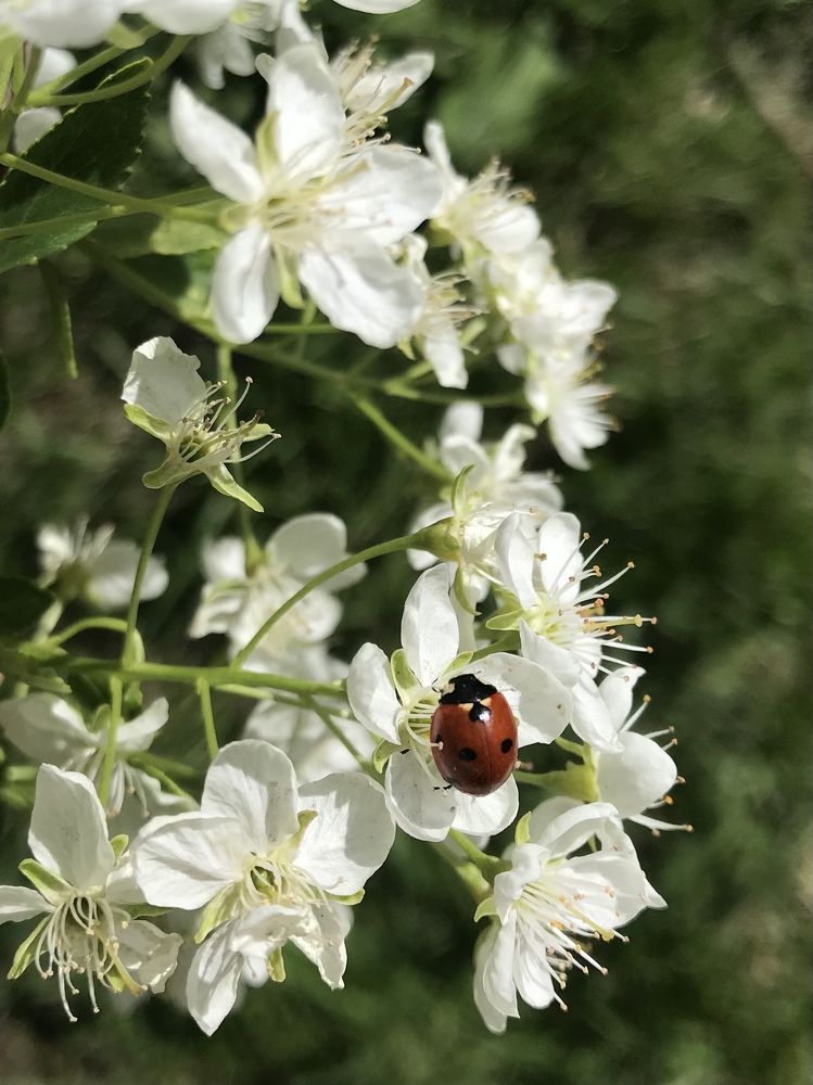 Photograph by Мария Федотова