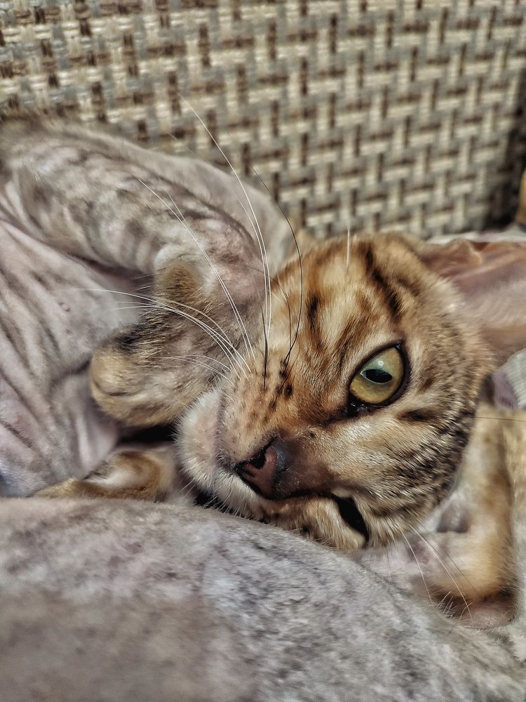 Photograph by Юлия Ламанова