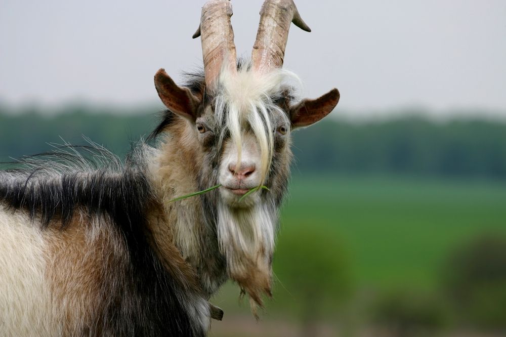 Photograph by Milla Luca