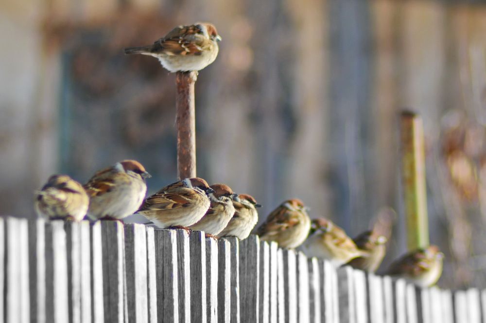 Photograph by Andrey