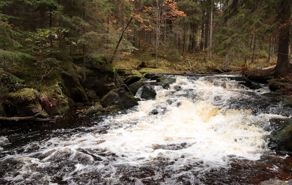 Photograph by елена