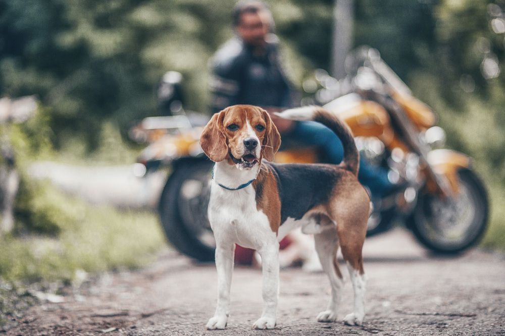 Photograph by Анатолий Климов