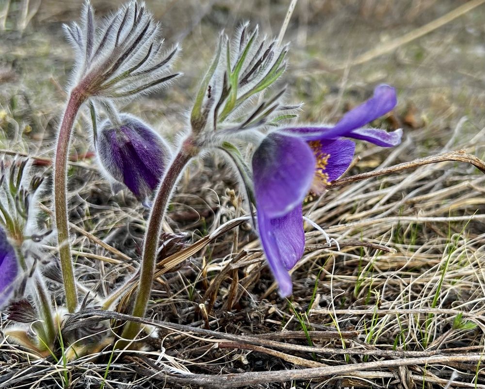 Photograph by Елена Мизина