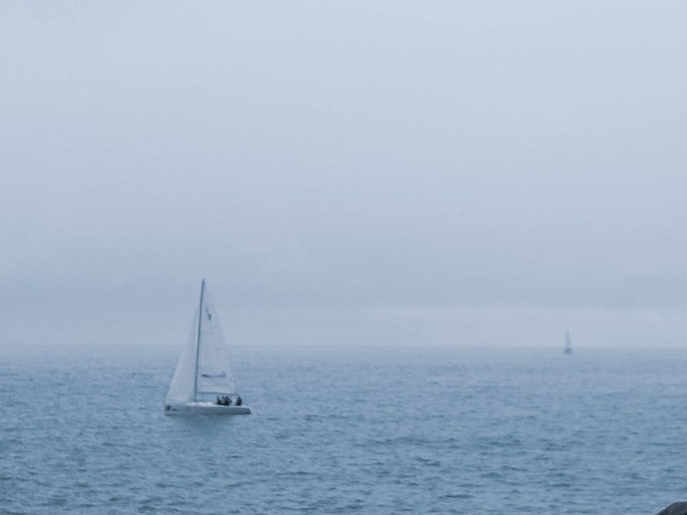 Photograph by Ника К