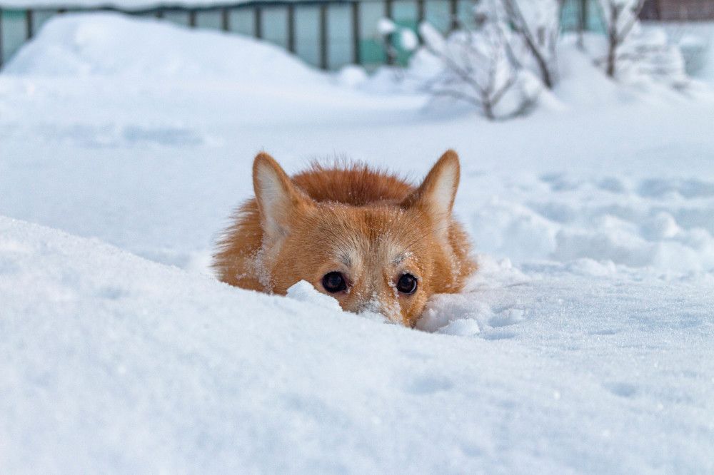 Photograph by Ol Ger