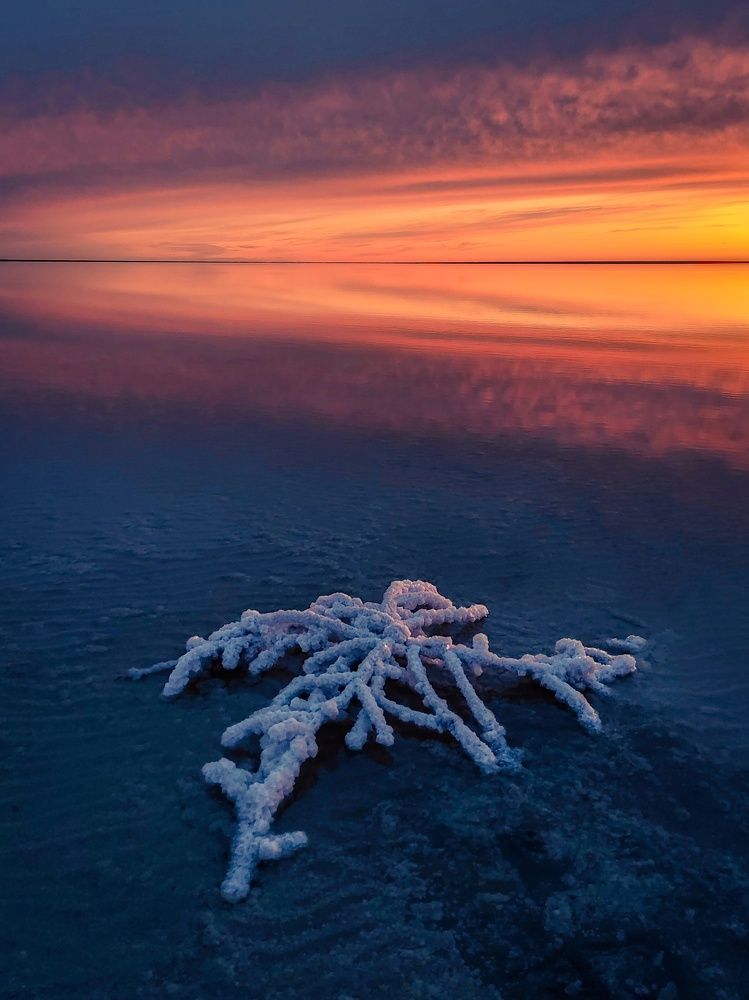 Photograph by Андрей Родионов