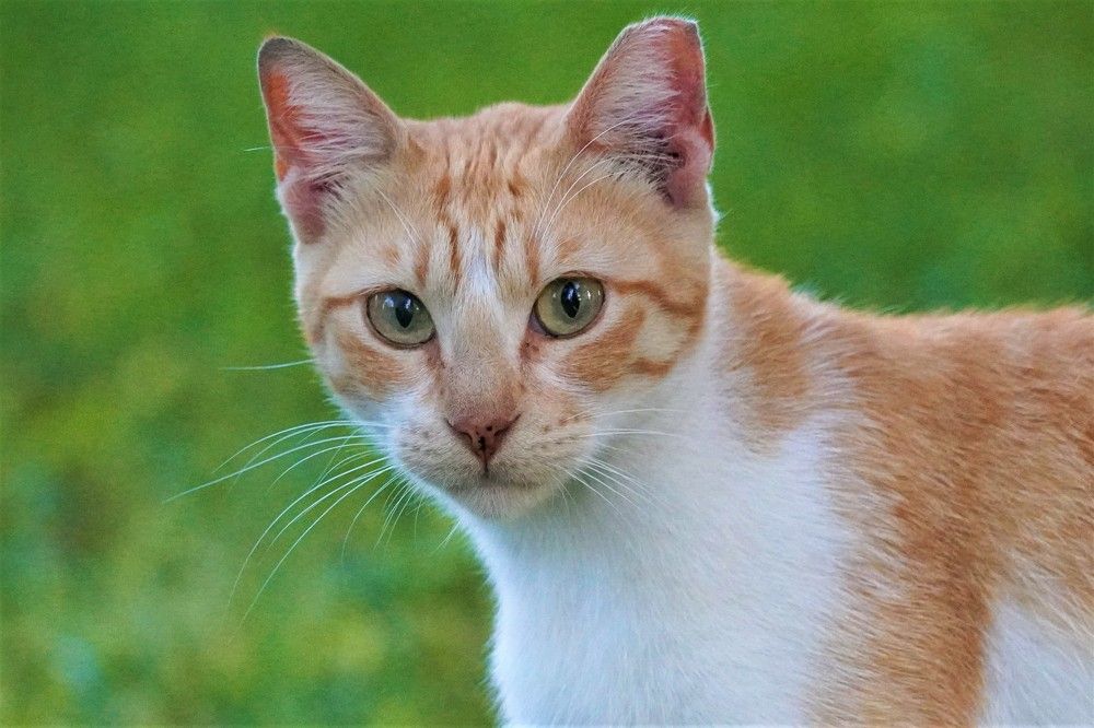 Photograph by Tamir Mor