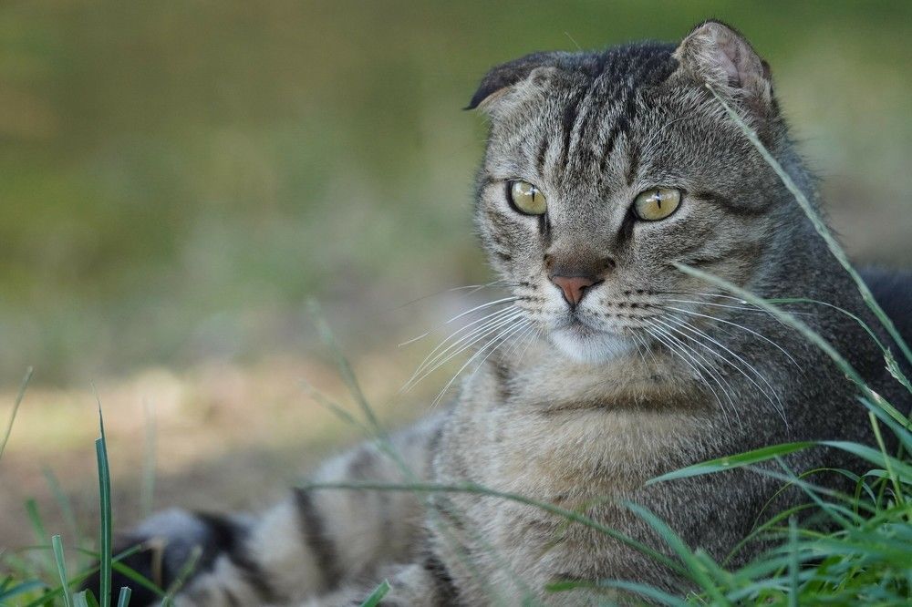 Photograph by Tamir Mor