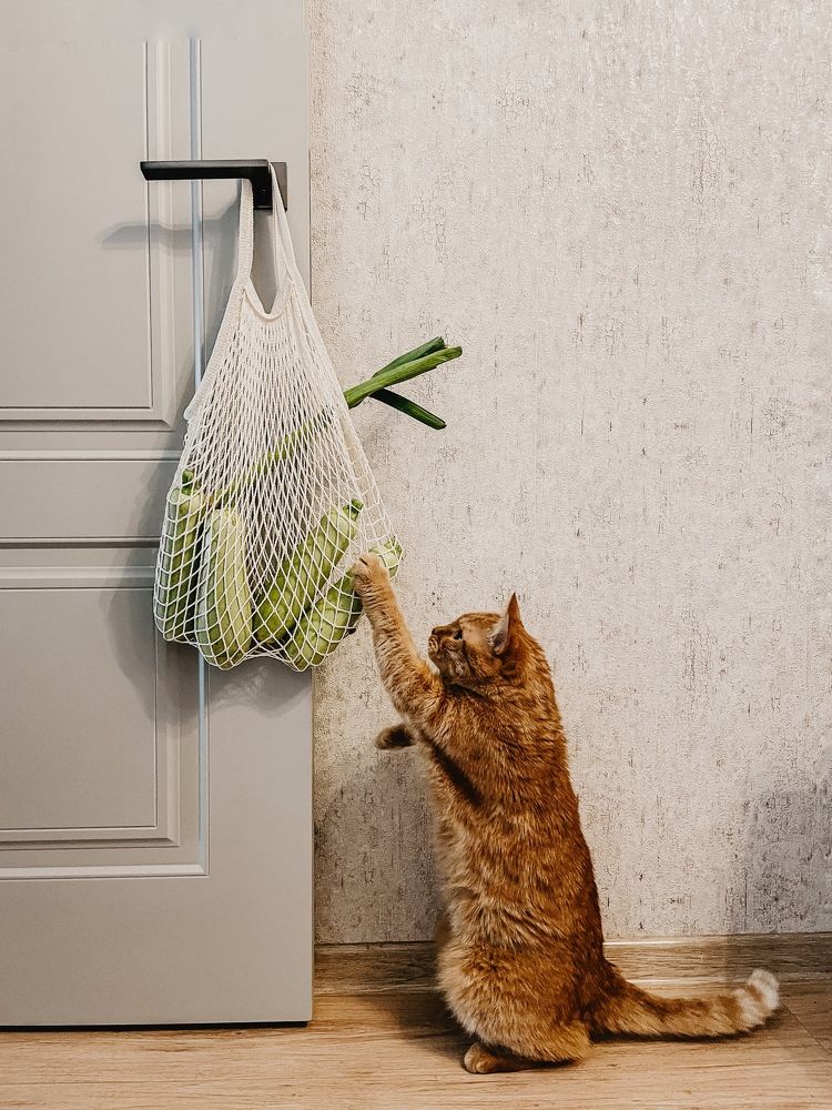 Фотография автора Oxana Yurasova