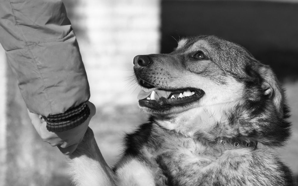 Photograph by Светлана Семёнова