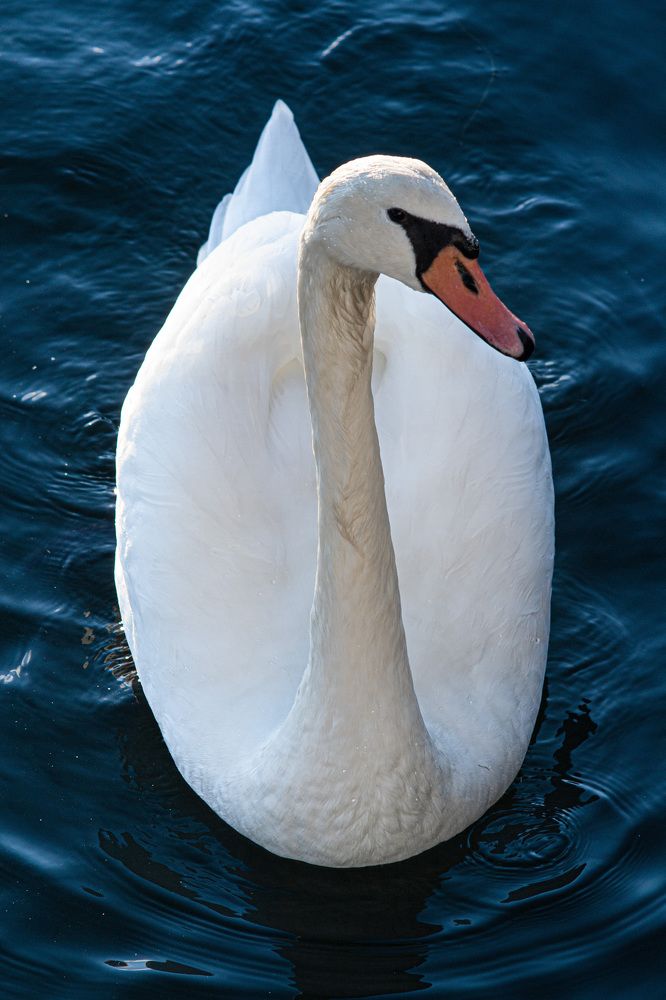 Photograph by Анна Бутко