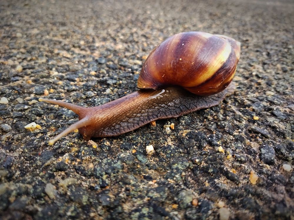 Фотография автора MEVIN