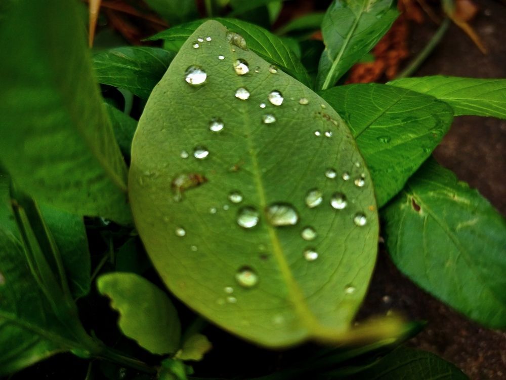 Фотография автора MEVIN