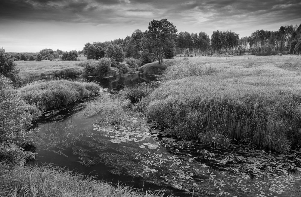 Photograph by Александр Чибиркин