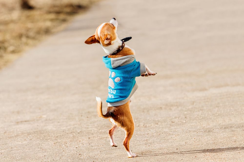 Photograph by Татьяна Семенова