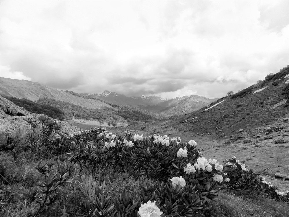 Photograph by Екатерина Салий