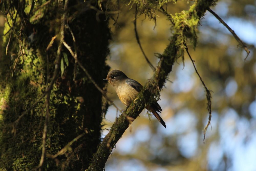 Photograph by Sandip Dey