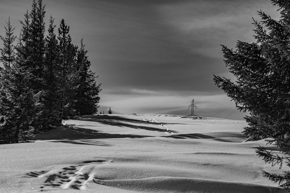 Photograph by Артём Кривов