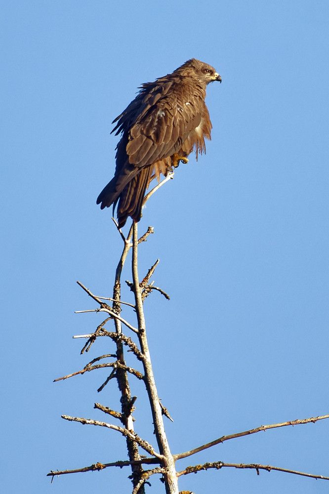 Photograph by zause01