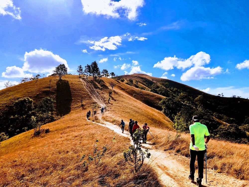 Фотография автора Andy Nguyen