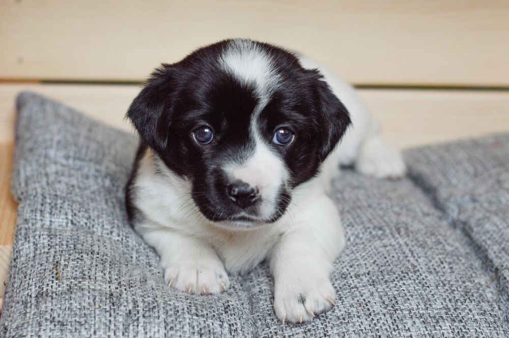 Photograph by Елена Квасова